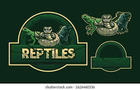 newyorkreptiles.com